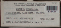 Image Associated With the Occurence
